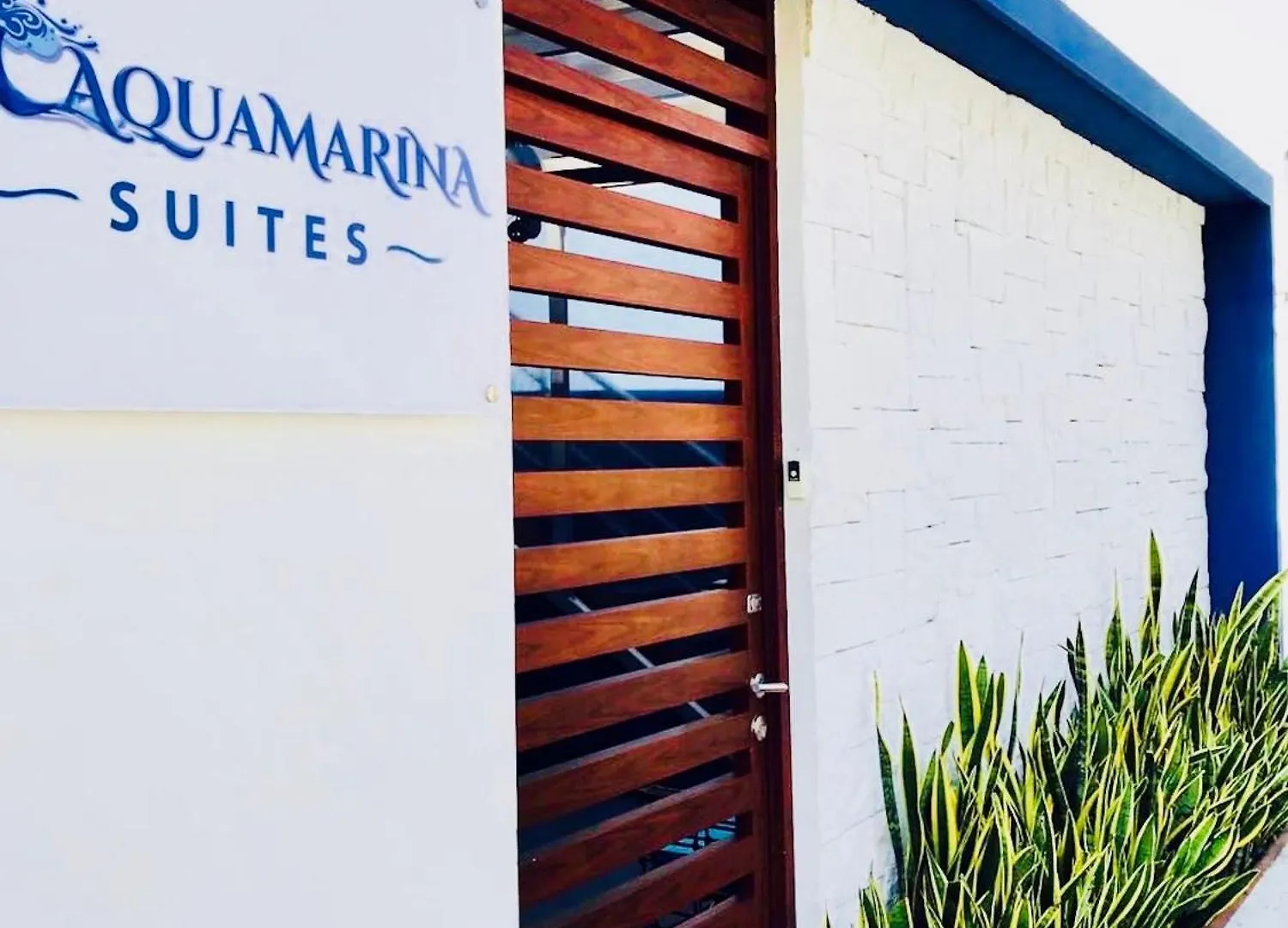 פלאייה דל כרמן Superior Studio 40 Aquamarina Suites פלאייה דל כרמן